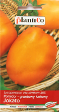 Nasiona pomidora karłowego średniowczesnego Jokato